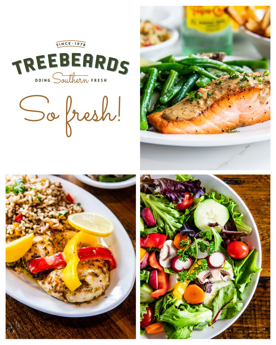 Treebeards - Healthy never looked so delicious! From perfectly baked ...