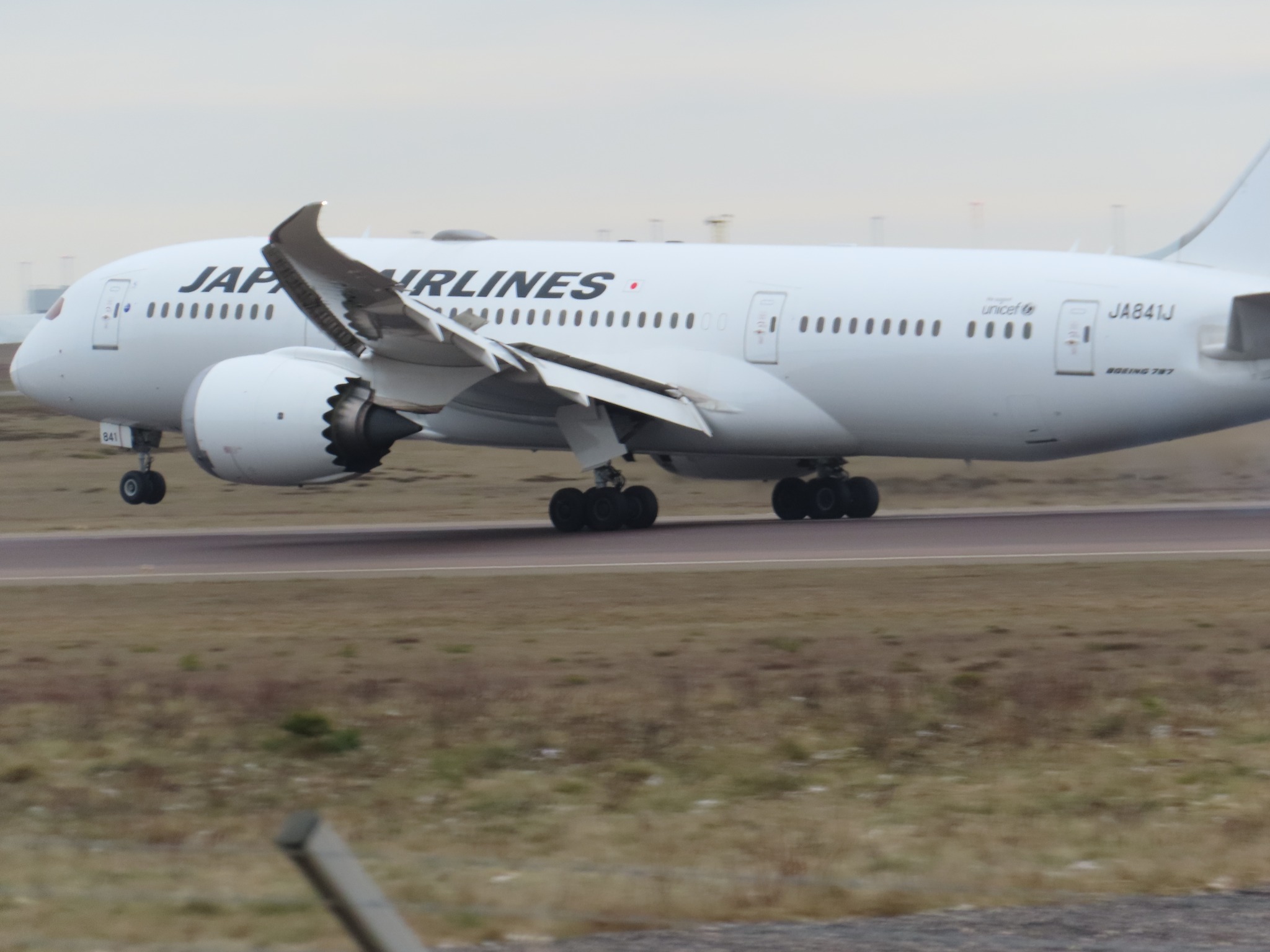 Japan Airlines B787-8 Dreamliner taking off