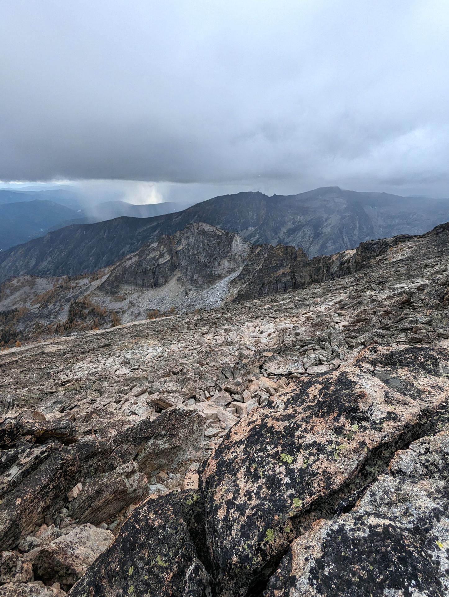 Bitterroot - This set of photos is from a trip on Oct 2nd, 2025. In the ...