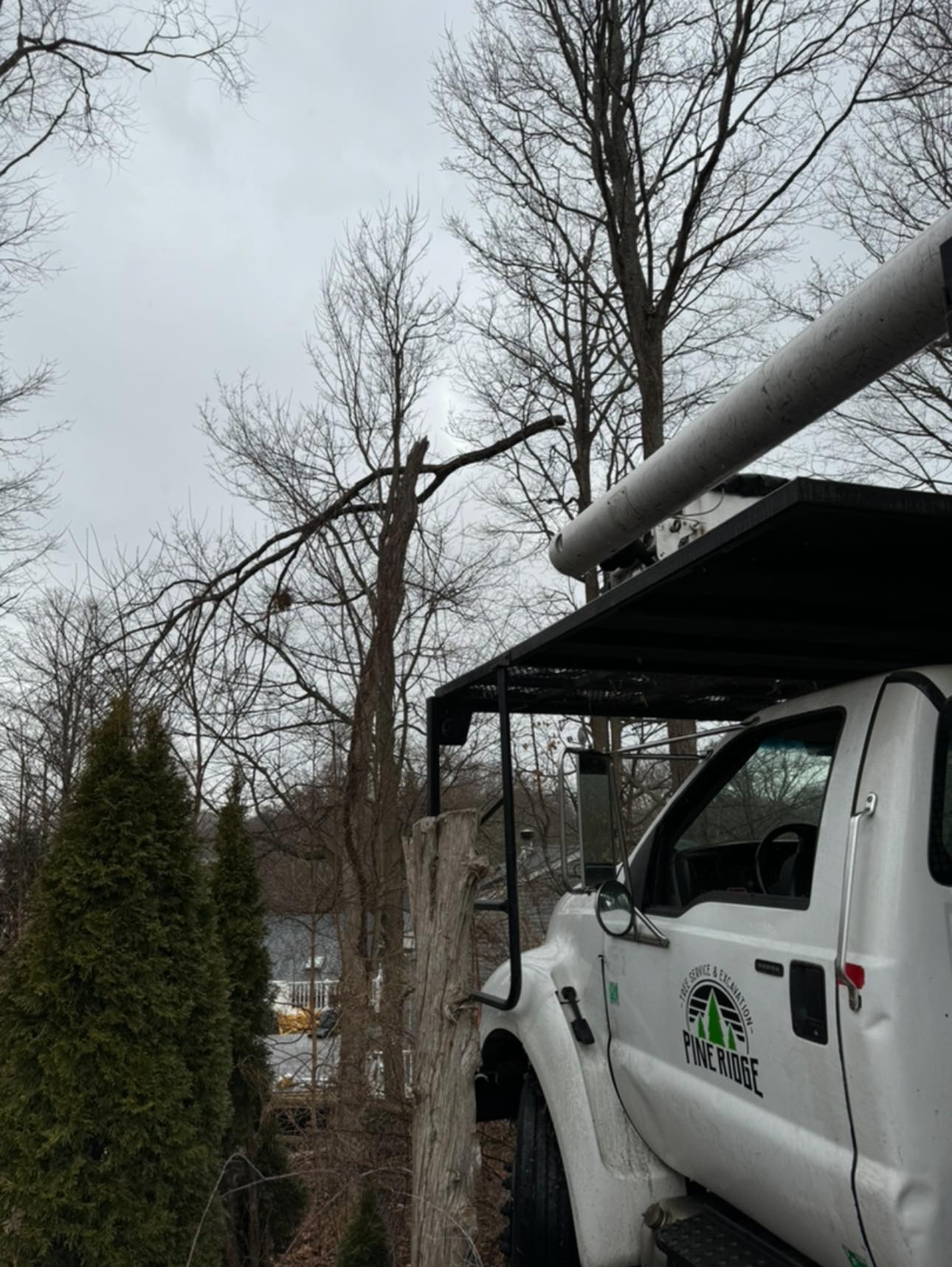 Pine Ridge Tree & Excavation CT | Naugatuck CT