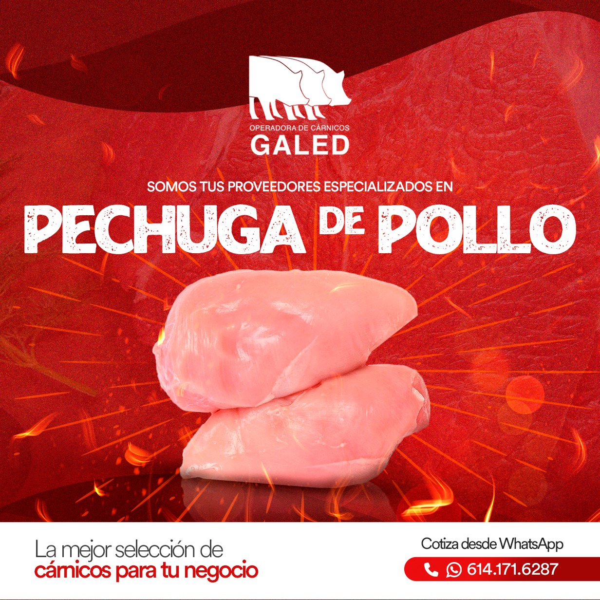 Operadora de Carnicos Galed | Chihuahua