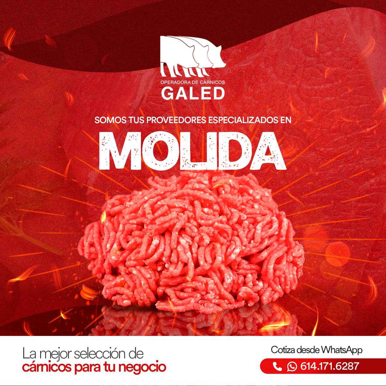 Operadora de Carnicos Galed | Chihuahua