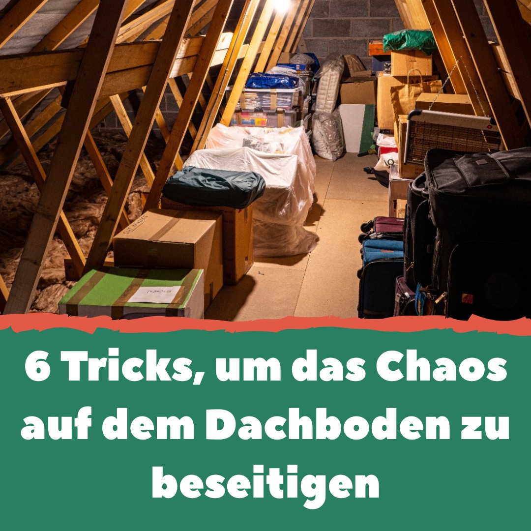 glasflasche abschneiden DIY Glasflaschen mit dem Flaschenschneider sauber schneiden + Tipps Edelholz furnierte Platten