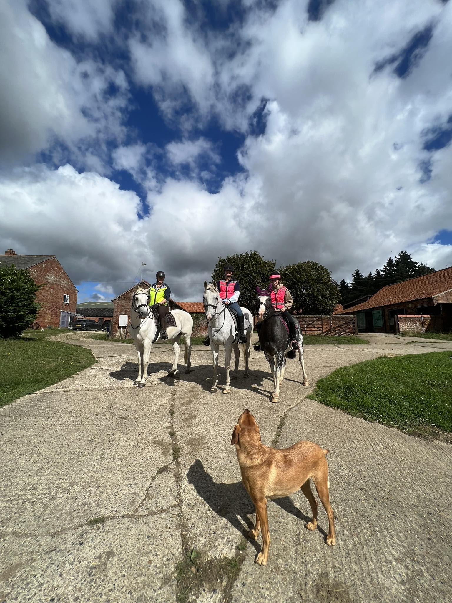 Hill Farm Riding Centre | Hardingham