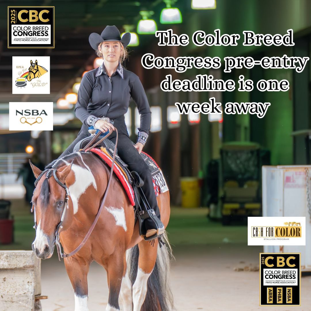 The Color Breed... - Pinto Horse Association of America Inc. | Facebook