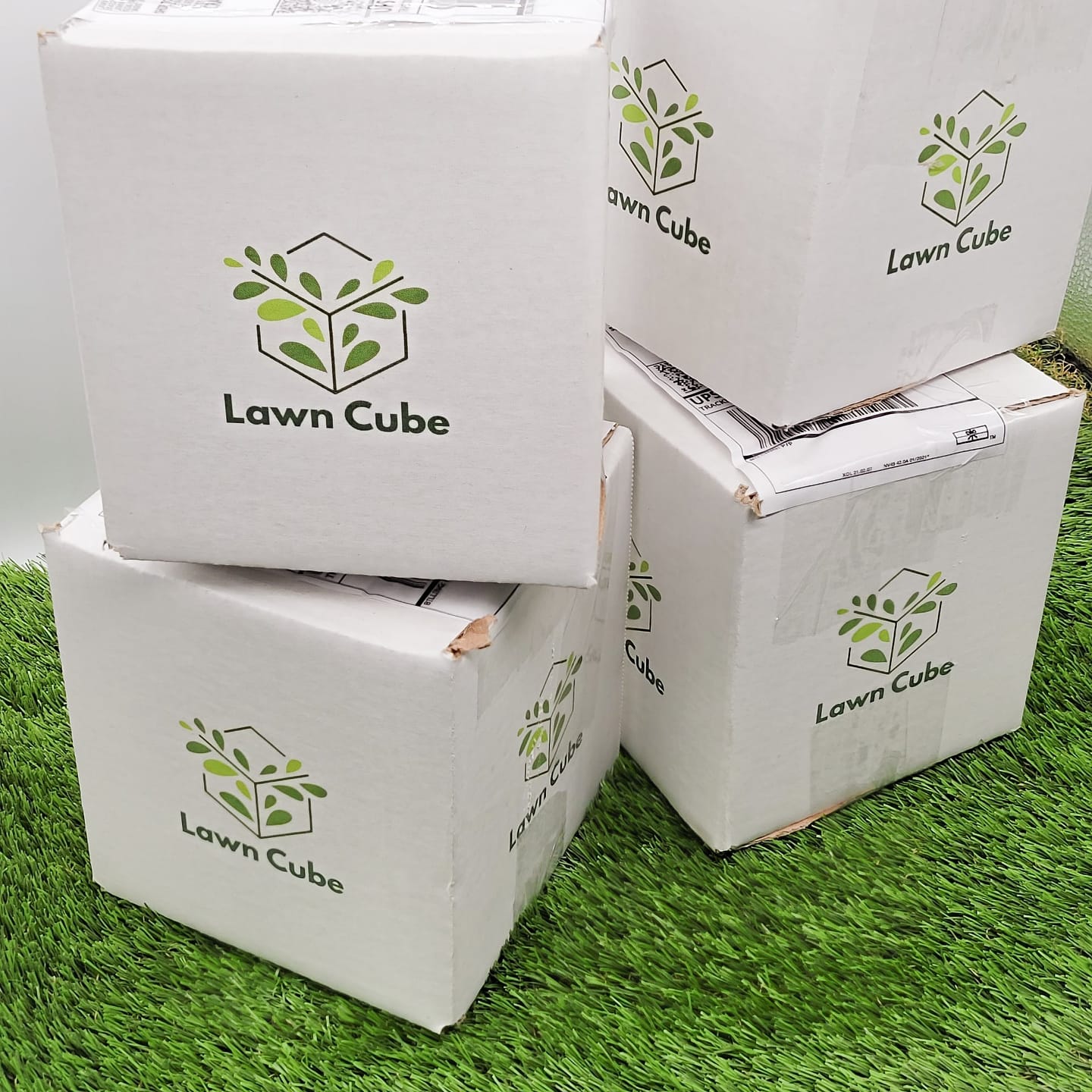Picture of Lawn Cube