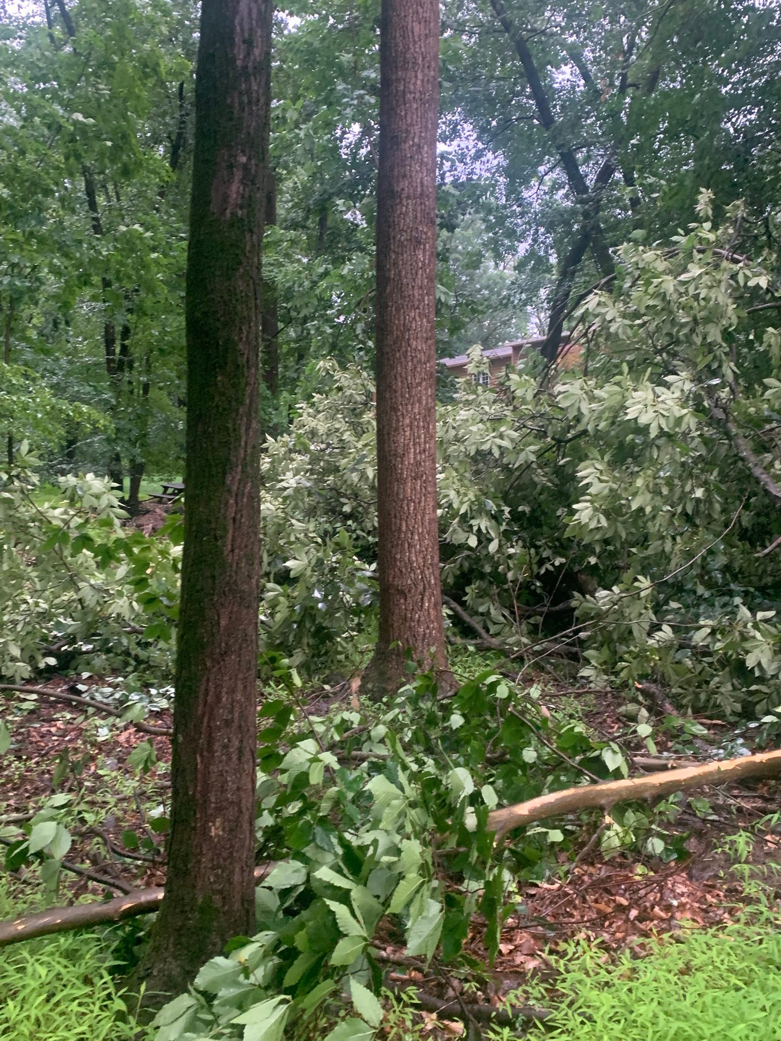 Top notch tree care and landscaping llc | Ivyland PA