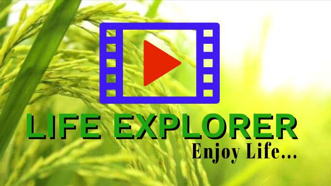 Life Explorer - Life Explorer updated their cover photo.