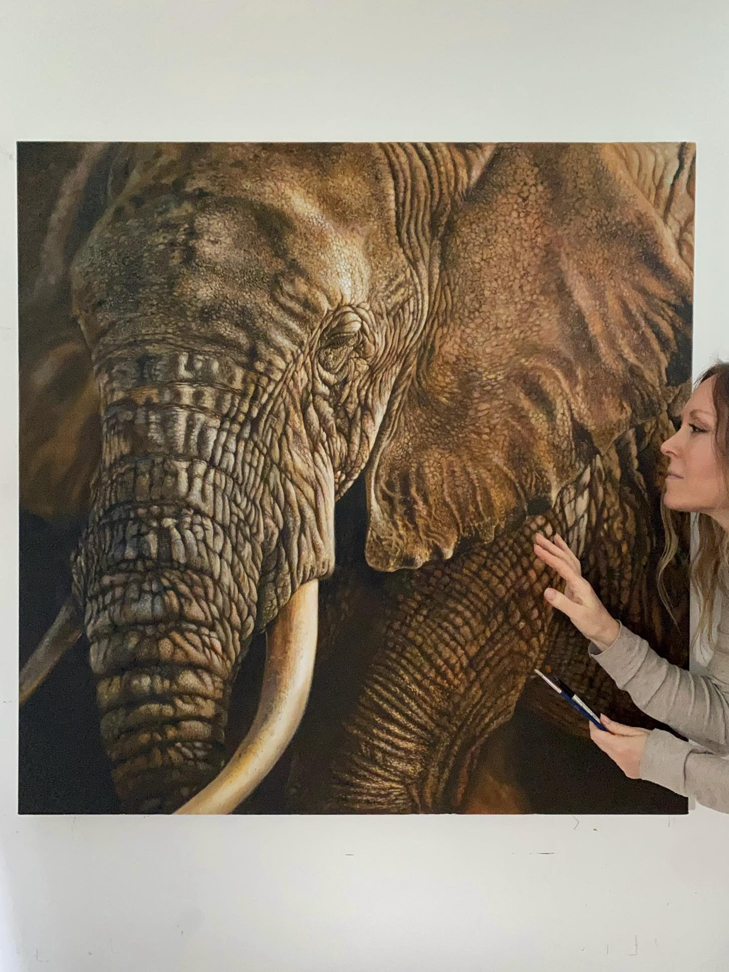 Julie Rhodes - wildlife pencil drawings