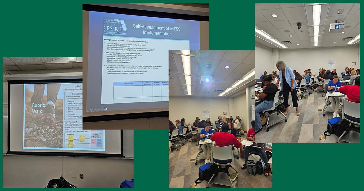 Florida's Problem Solving/Response to Intervention Project | Tampa FL