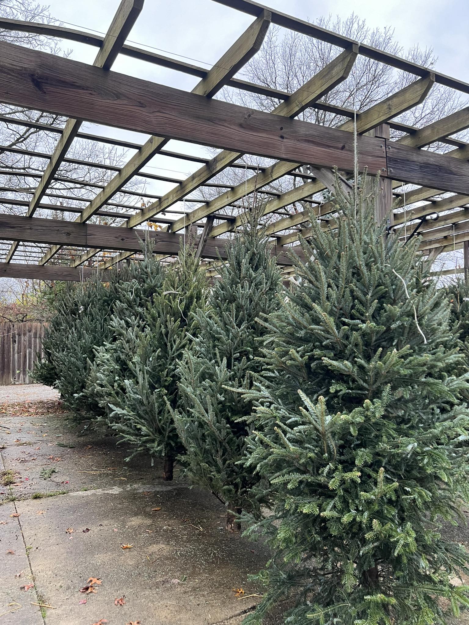 Two Brothers Garden Center... - Two Brothers Garden Center
