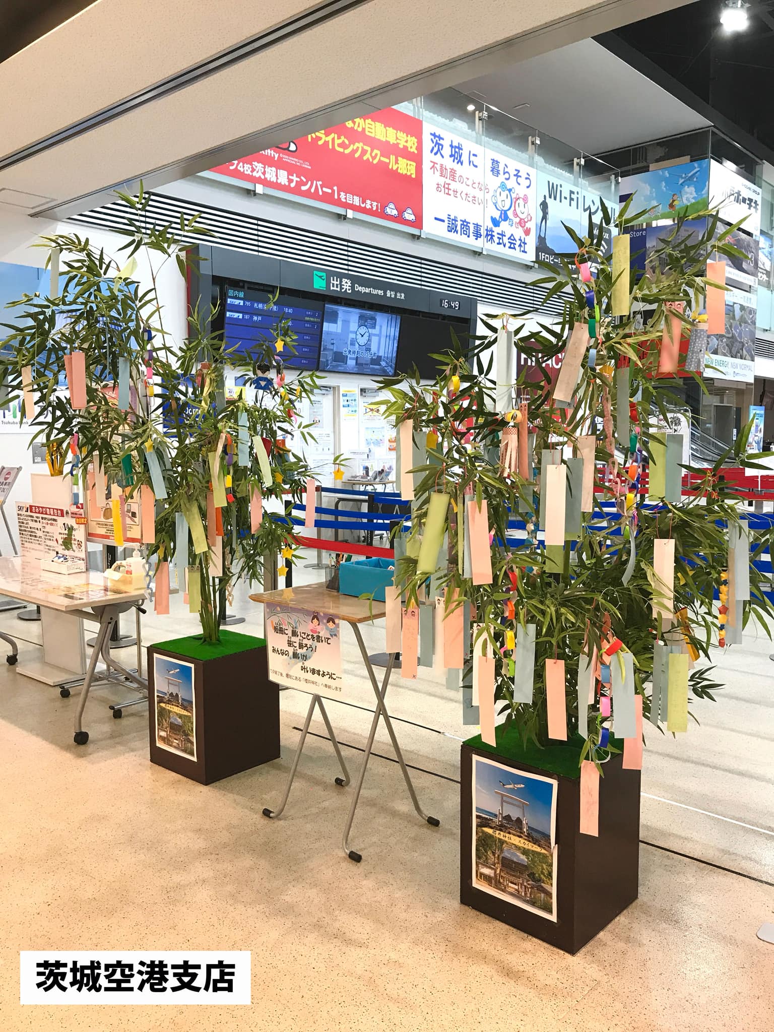 Skymark Airlines / スカイマーク - Skymark Airlines / スカイマーク