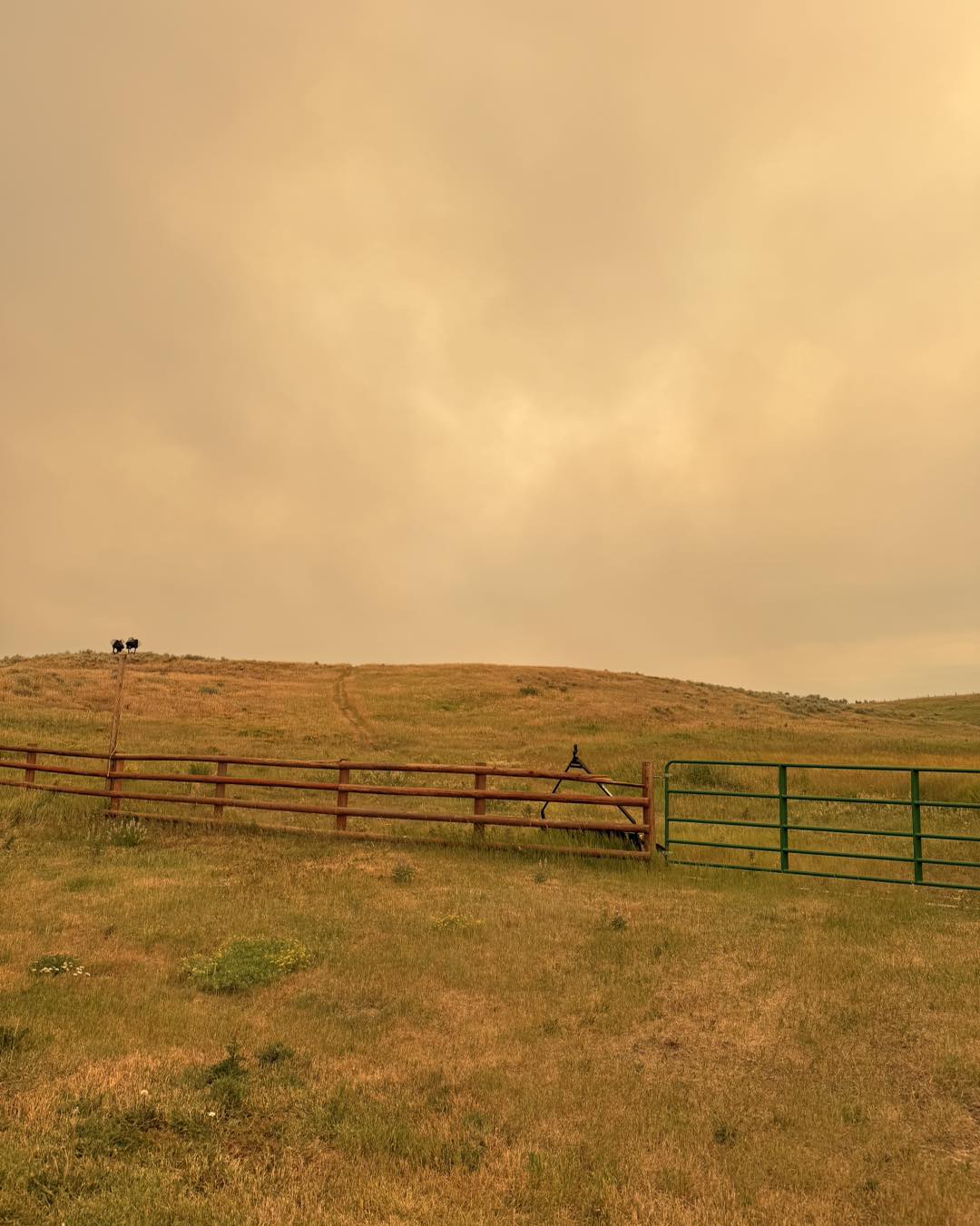Baker's Acres Colorado | Oak Creek CO
