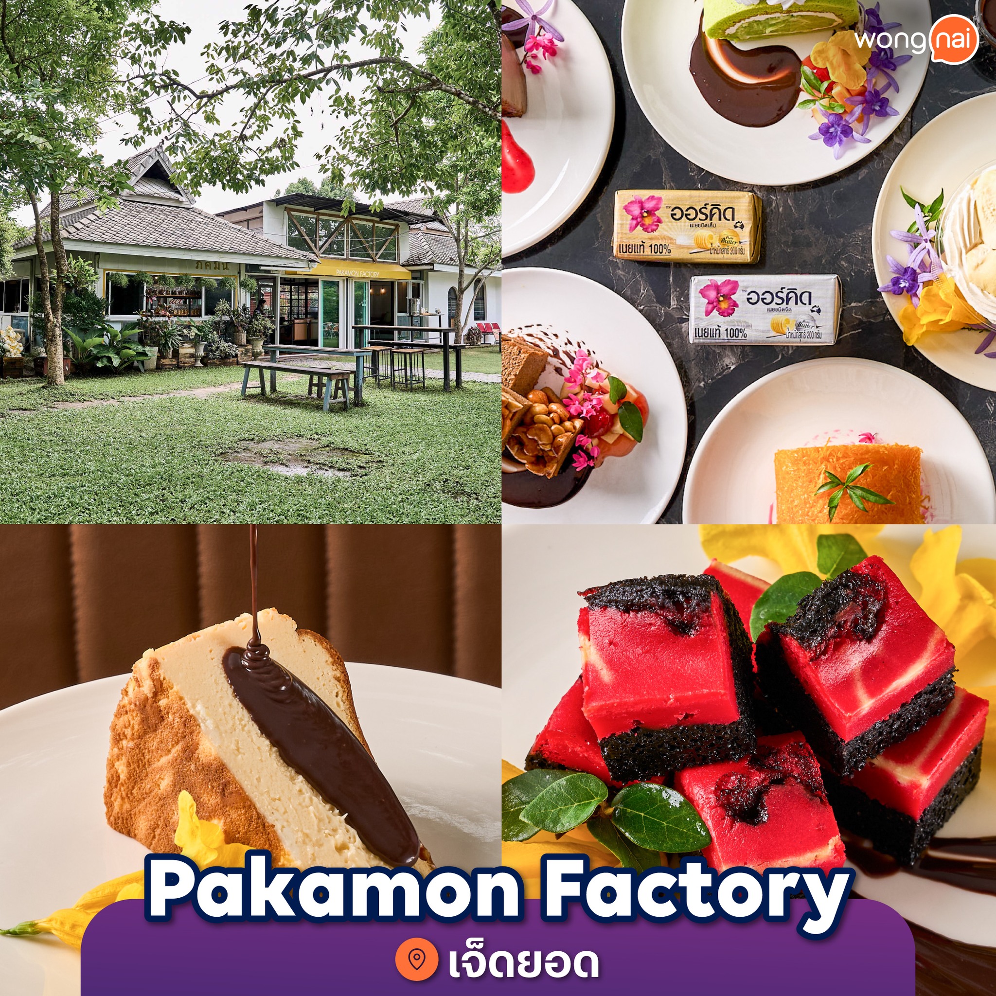 Wongnai - Pakamon Factory Location : เจ็ดยอด . สวรรค์ของคนรักเค้ก ...
