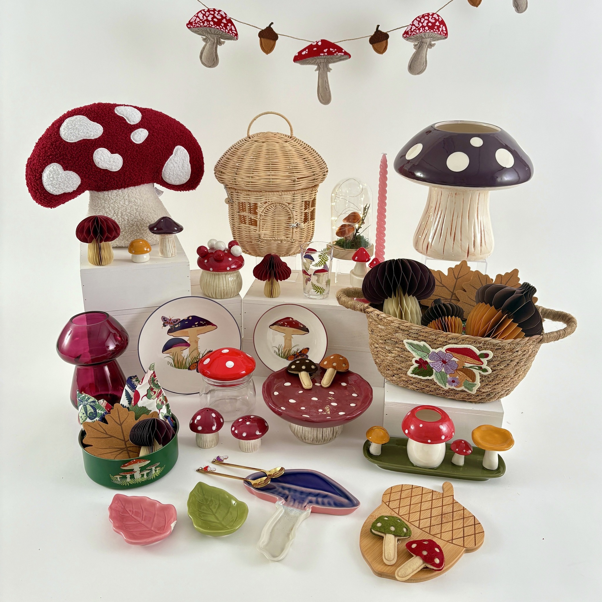 きのこでほっこり、秋はじめ🍄 温もりあふれる新商品と、実りの季節を