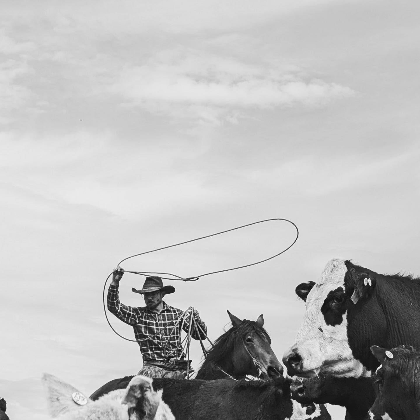 Douglas Lake Ranch | Douglas Lake BC