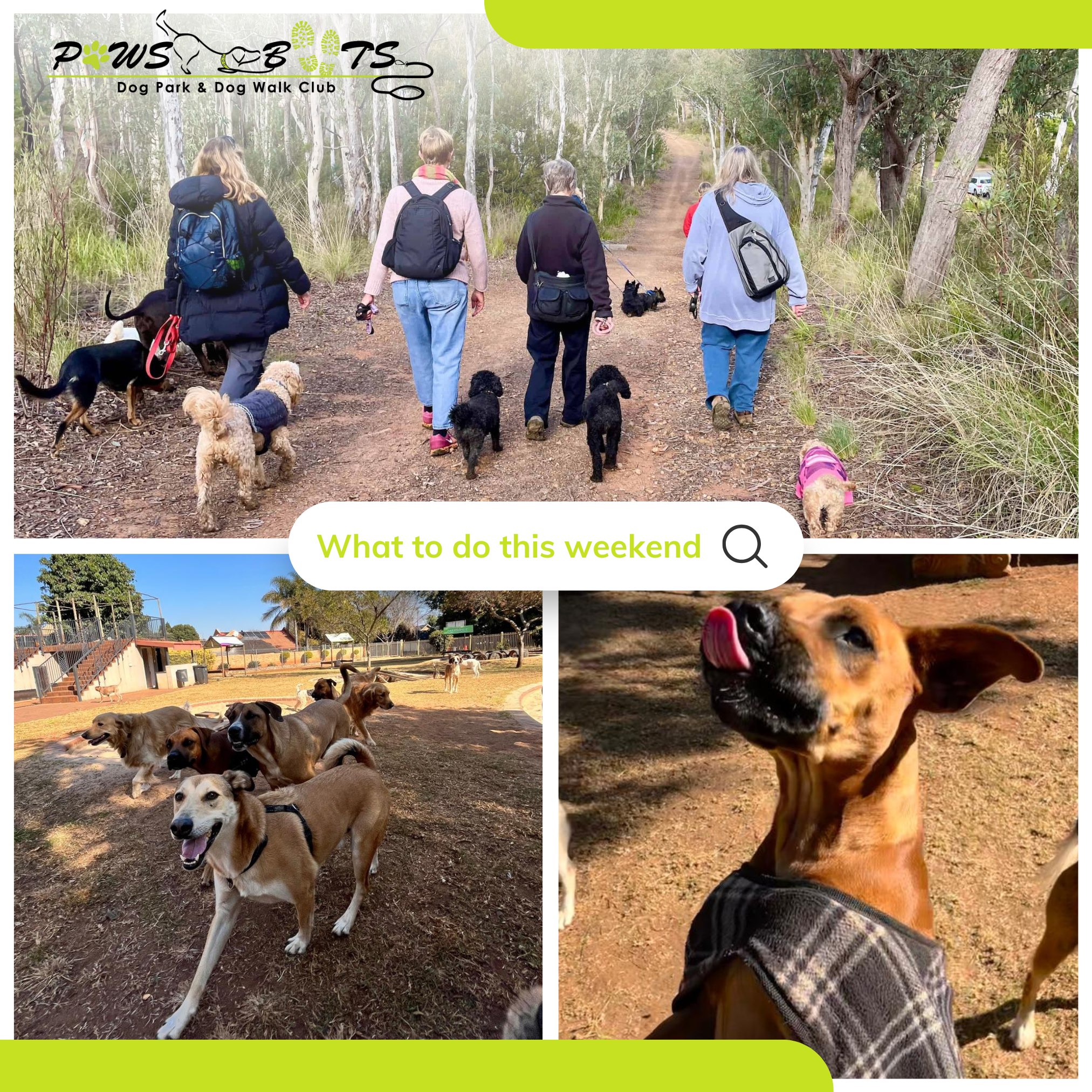 Paws & Boots Dog Park & Dog Walk Club | Centurion