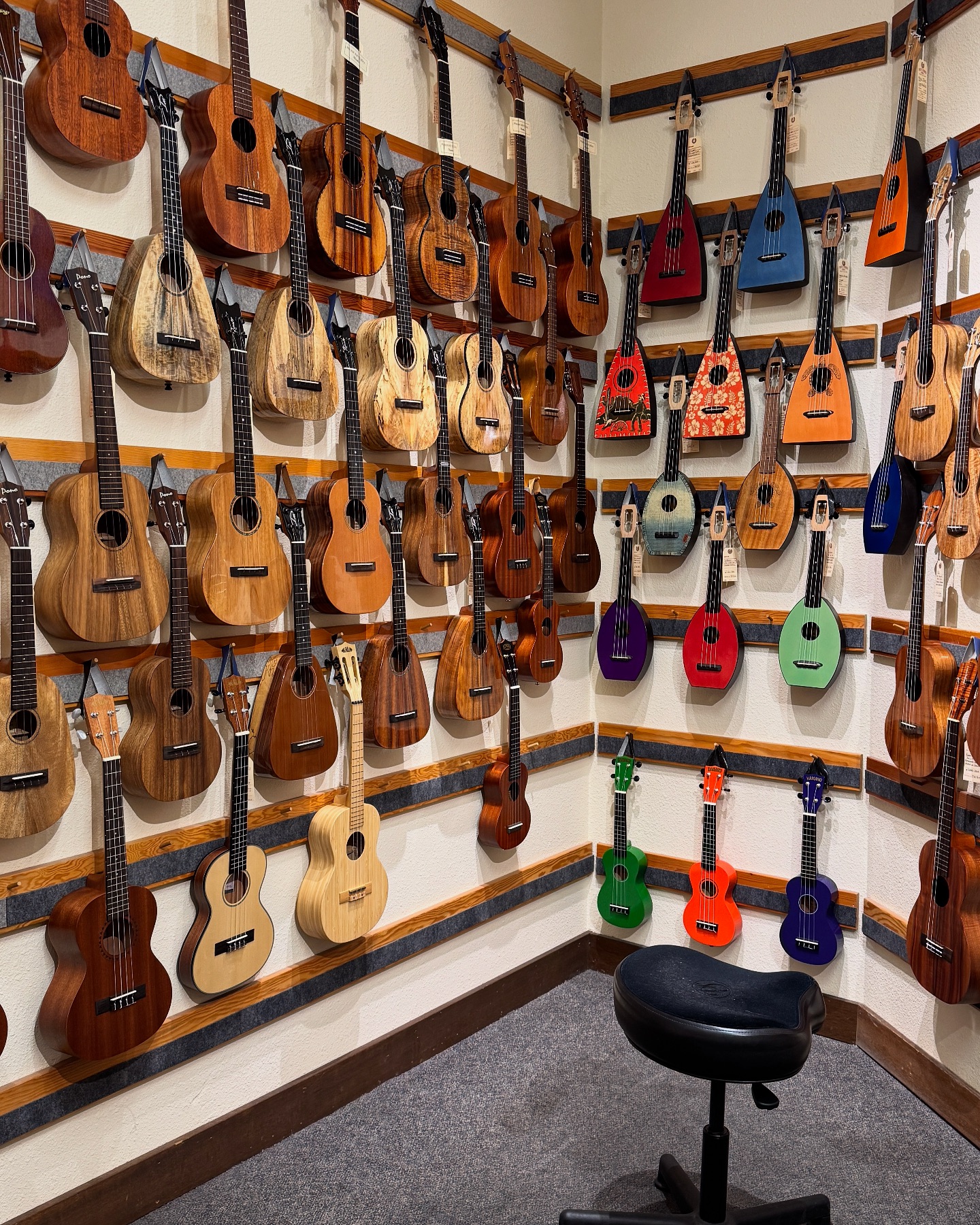 Dusty Strings Music | Seattle WA