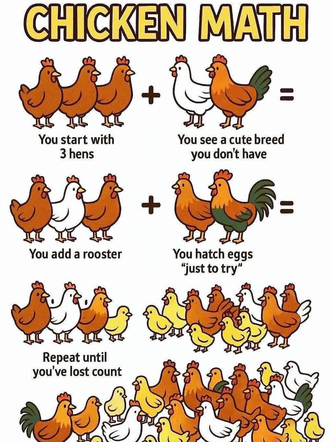 Michael Salerno - This is my kind of math… 🐓... | Facebook