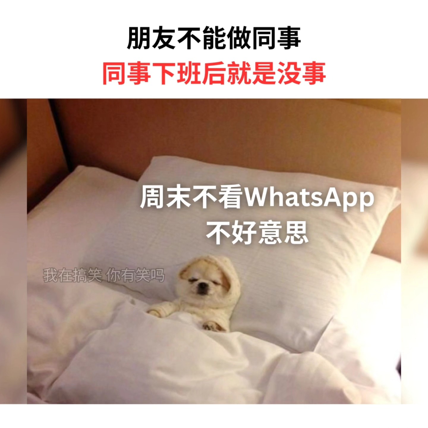 我在搞笑 - 周末都要烦我你真够意思 . IG: areyoulaughing.meme . . #梗 #梗圖 #梗图 #梗圖系列 #梗图系列 ...