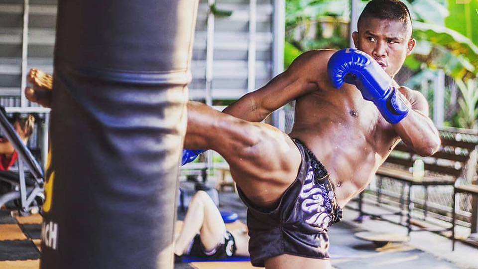 Twins vs yokkao vs fairtex?
