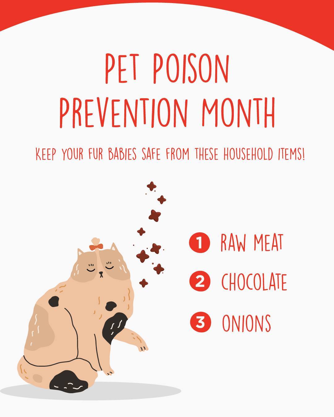 Catmor - 🐱Did you know that March is Pet Poison Prevention Month? Our ...