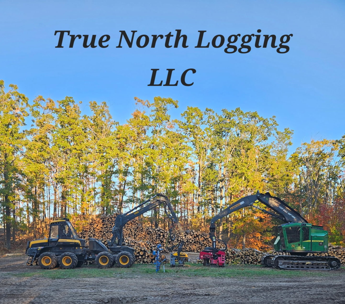 Michigan - Welcome True North Logging LLC of Lachine, MI! | Facebook