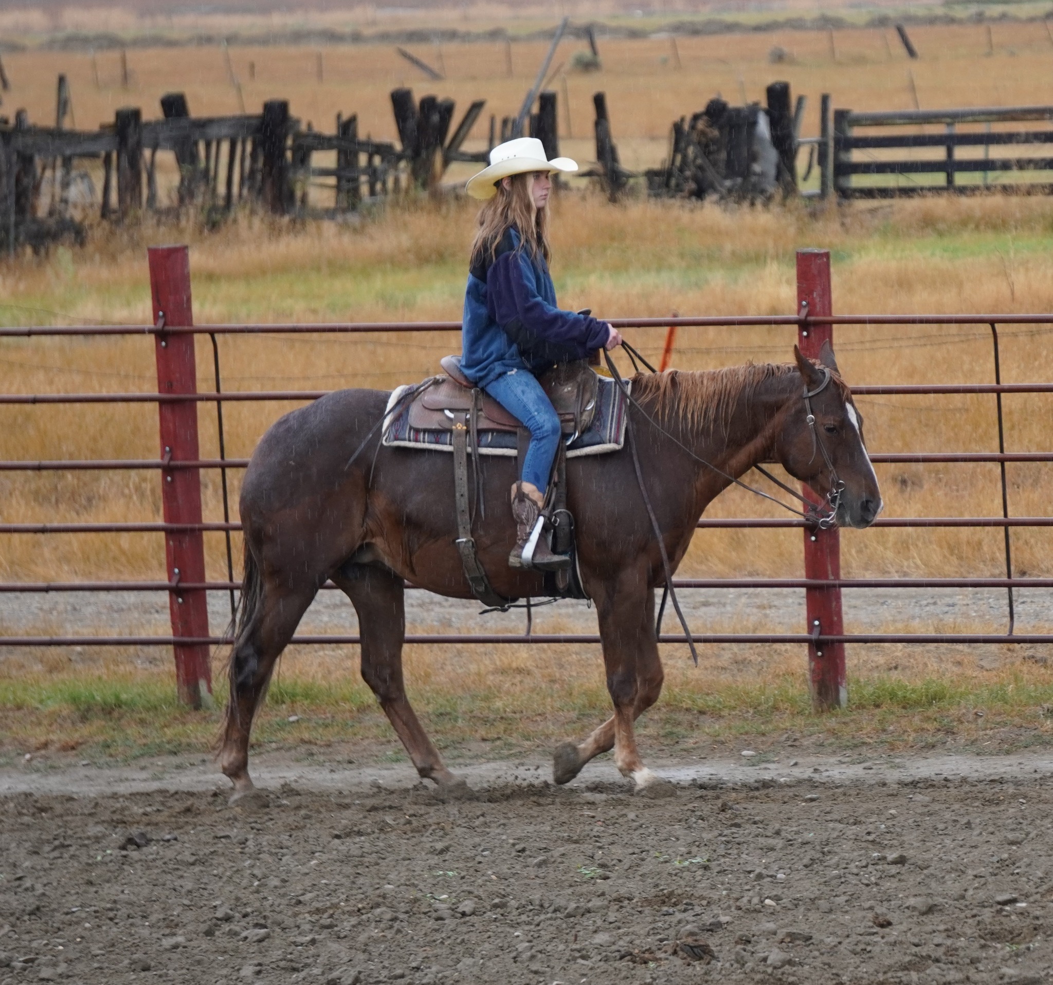 Roundup Ridge Riders