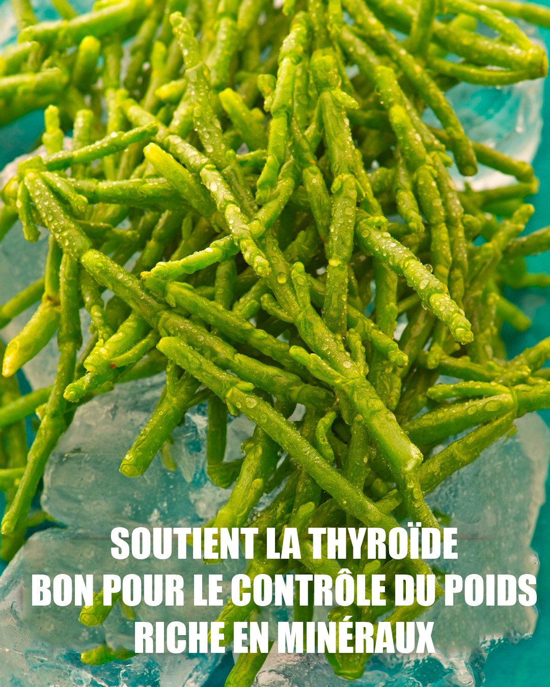 💚 Non seulement c'est délicieux, mais... - C'est formidable | Facebook