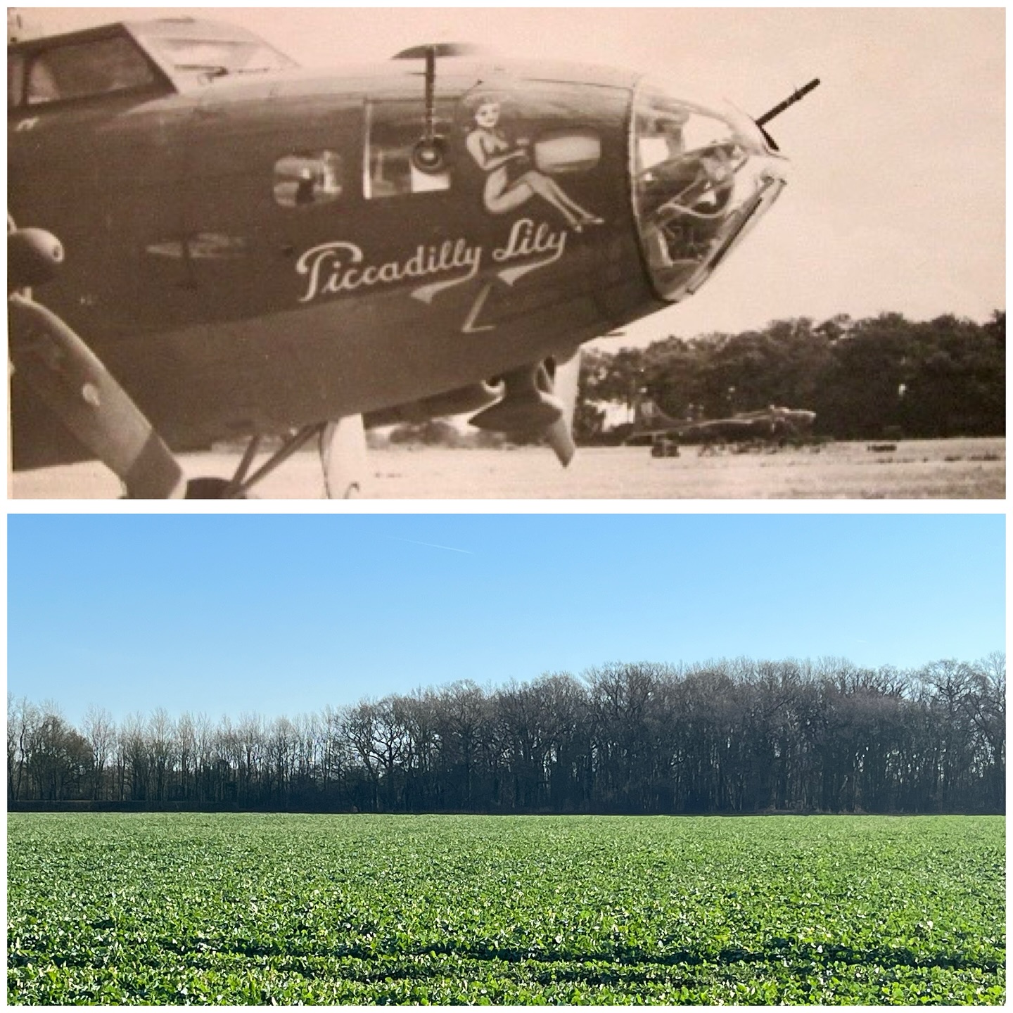 100th - Then and Now - Thorpe Abbotts, looking East toward Grove Wood ...