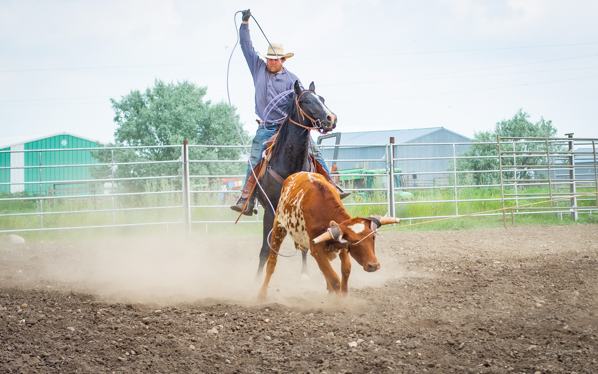Eszlinger Ranch Black Angus and Quarter Horses