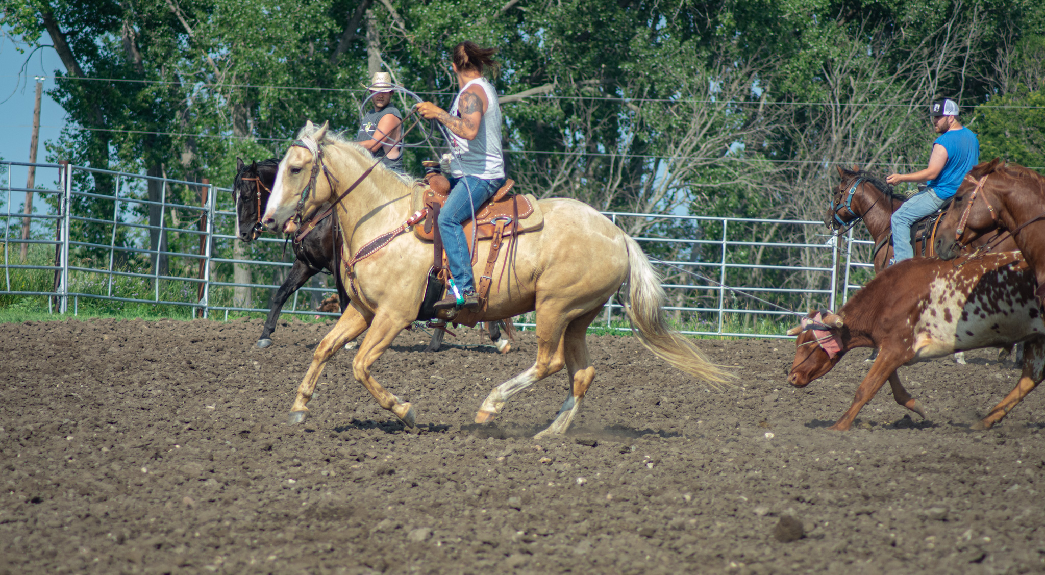 Eszlinger Ranch Black Angus and Quarter Horses