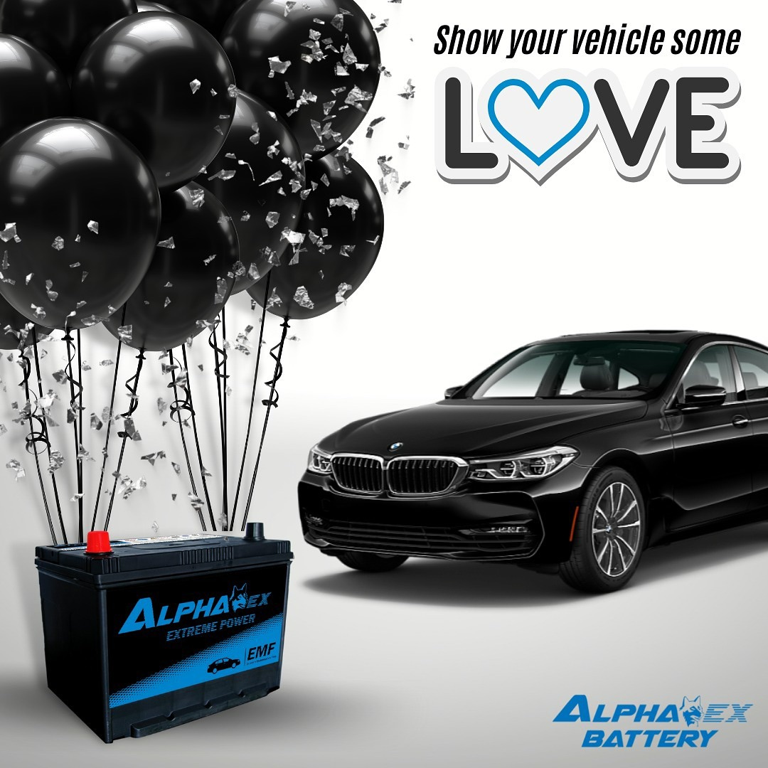 Alpha EX Battery