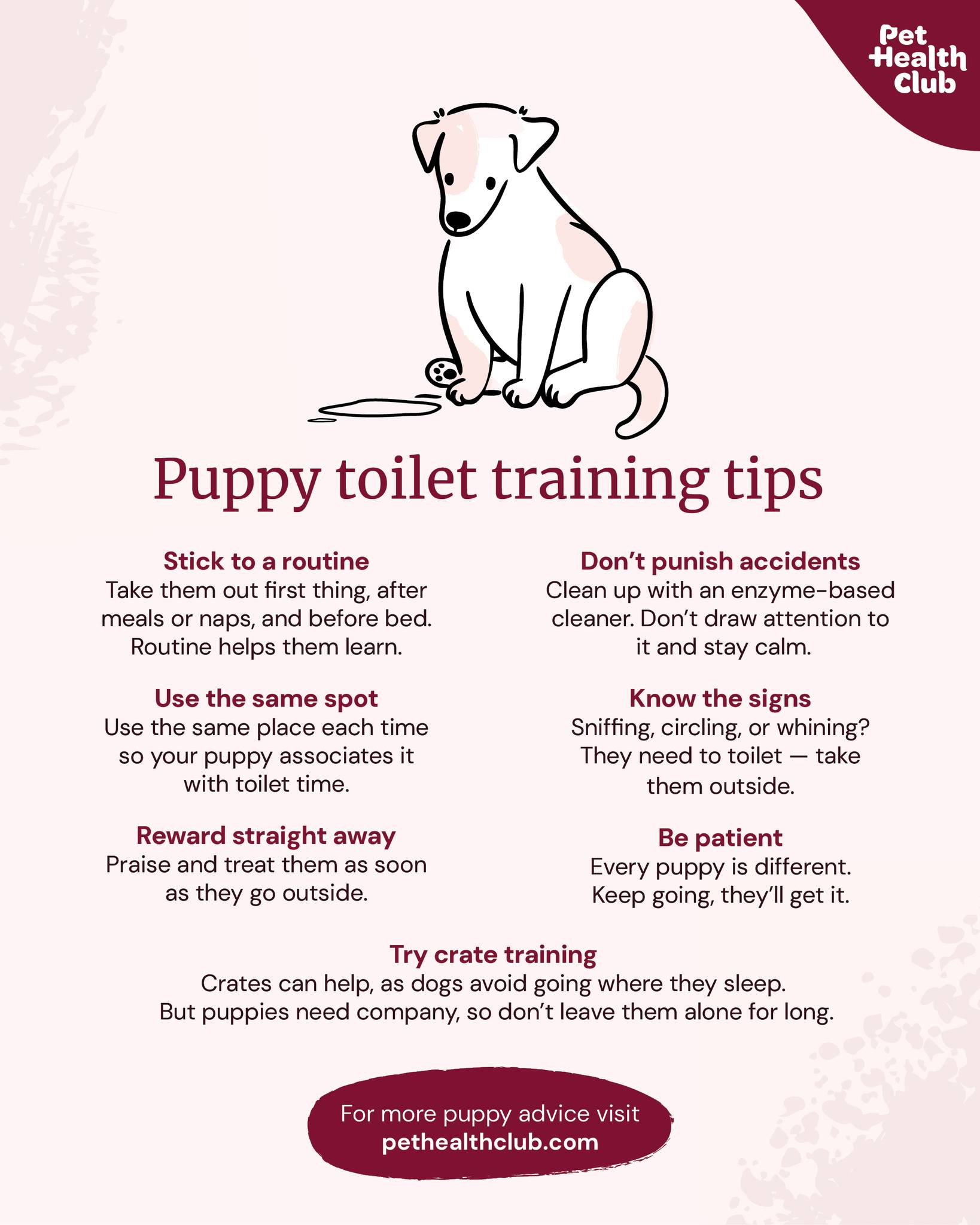 Save this step-by-step guide to toilet training your puppy
