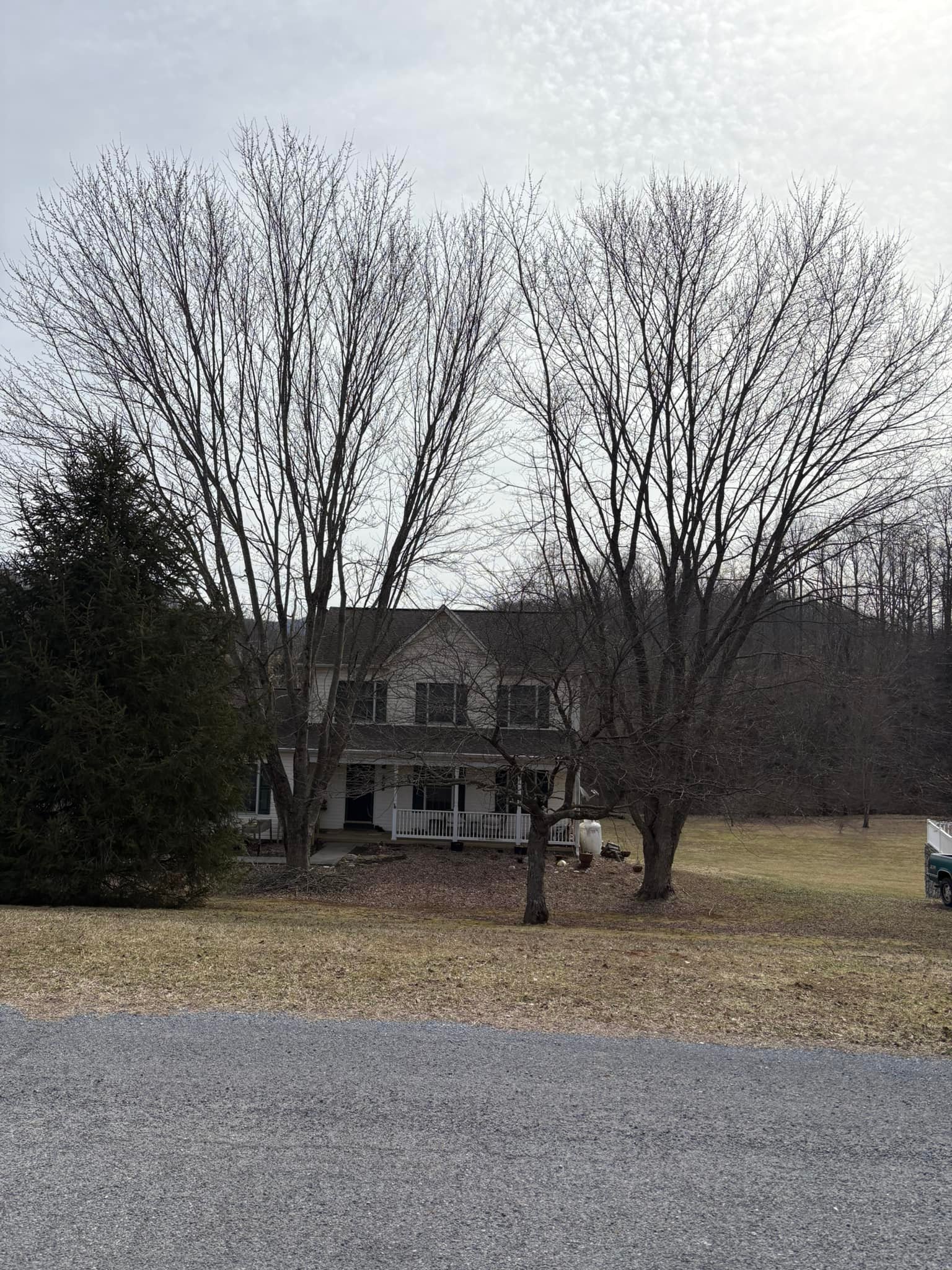 Timber Ridge Tree Service LLC