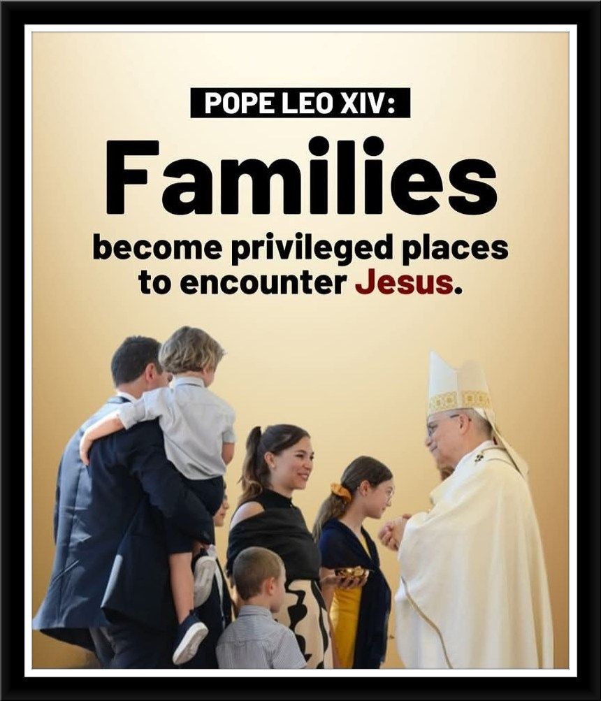 The Divine - POPE LEO XIV ON FAMILIES: 