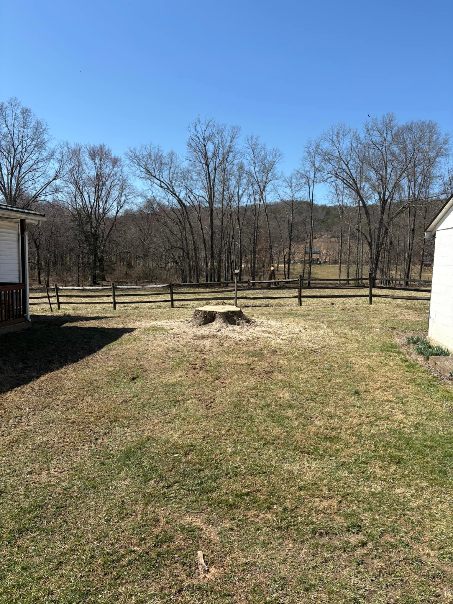 Timber Ridge Tree Service LLC