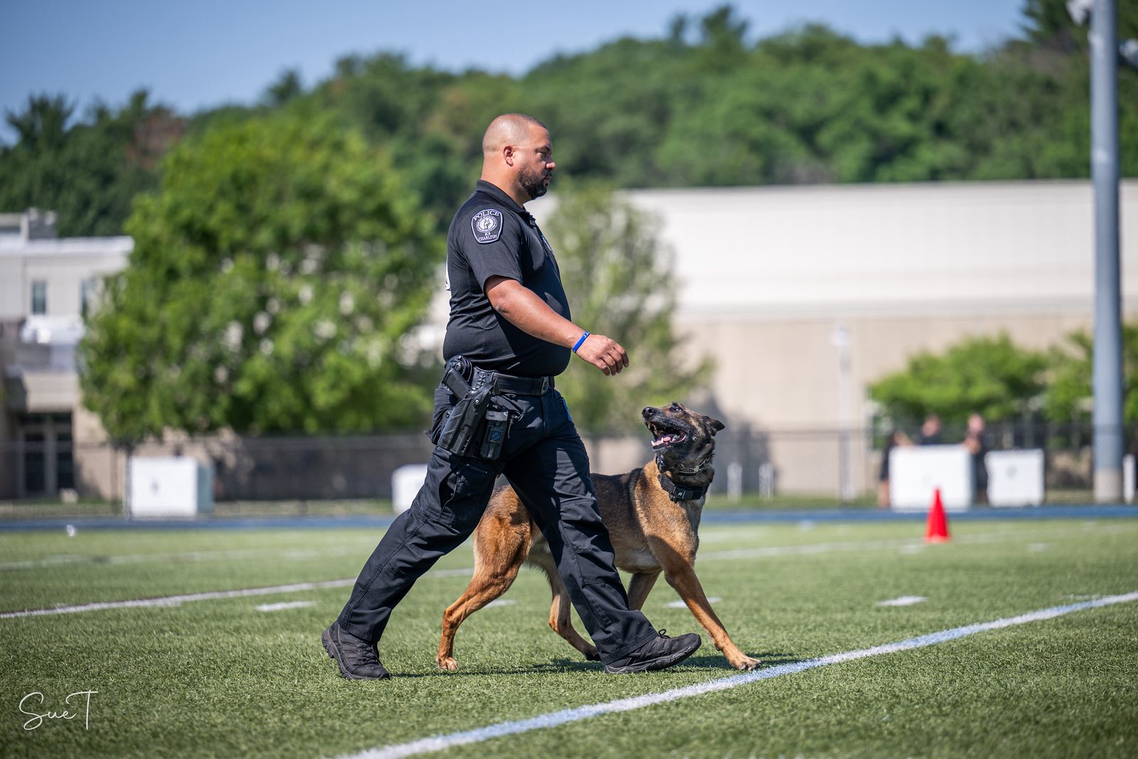 Battle Road K9