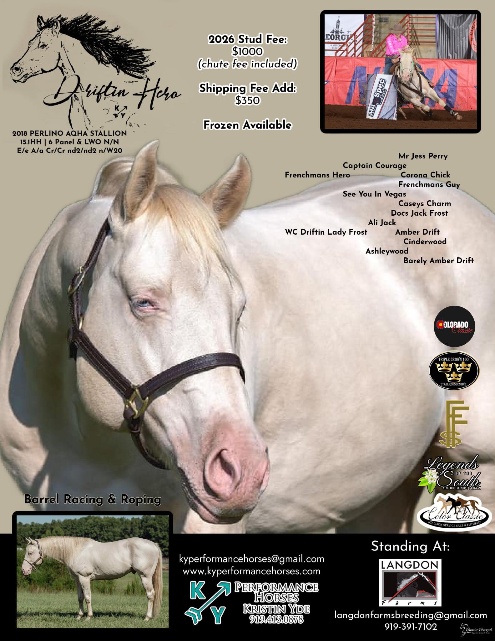 Langdon - 🔥 **DRIFTIN HERO** 🔥 2018 Perlino Stallion | 15.1 HH ...