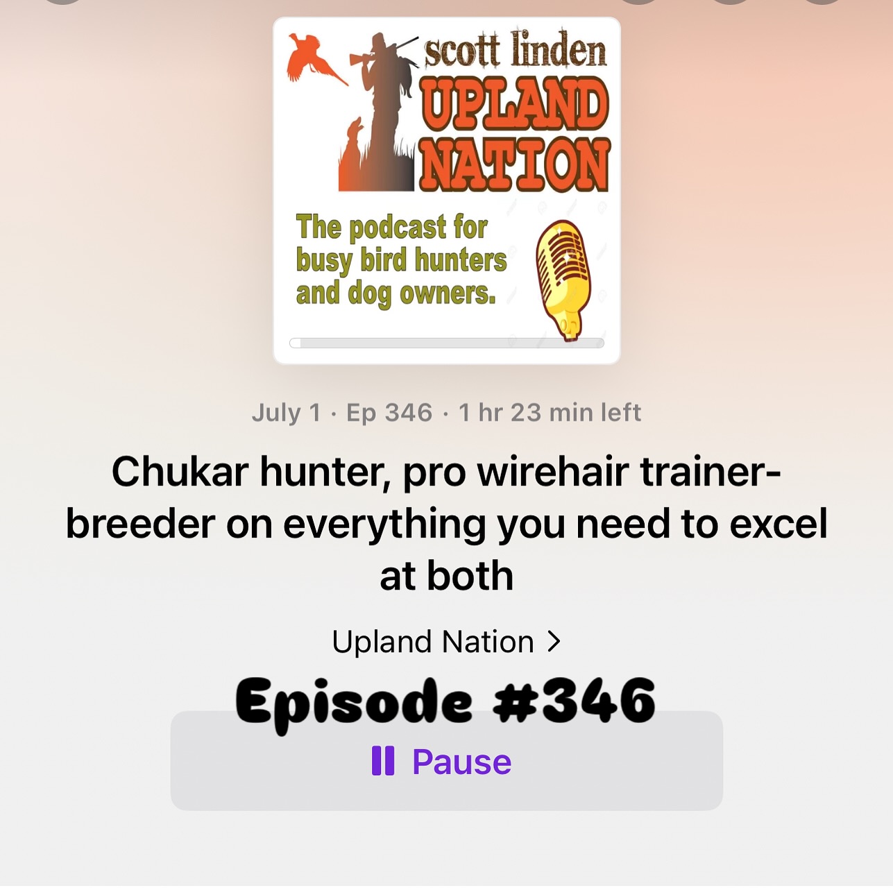 Versatile Hunting Dog Federation
