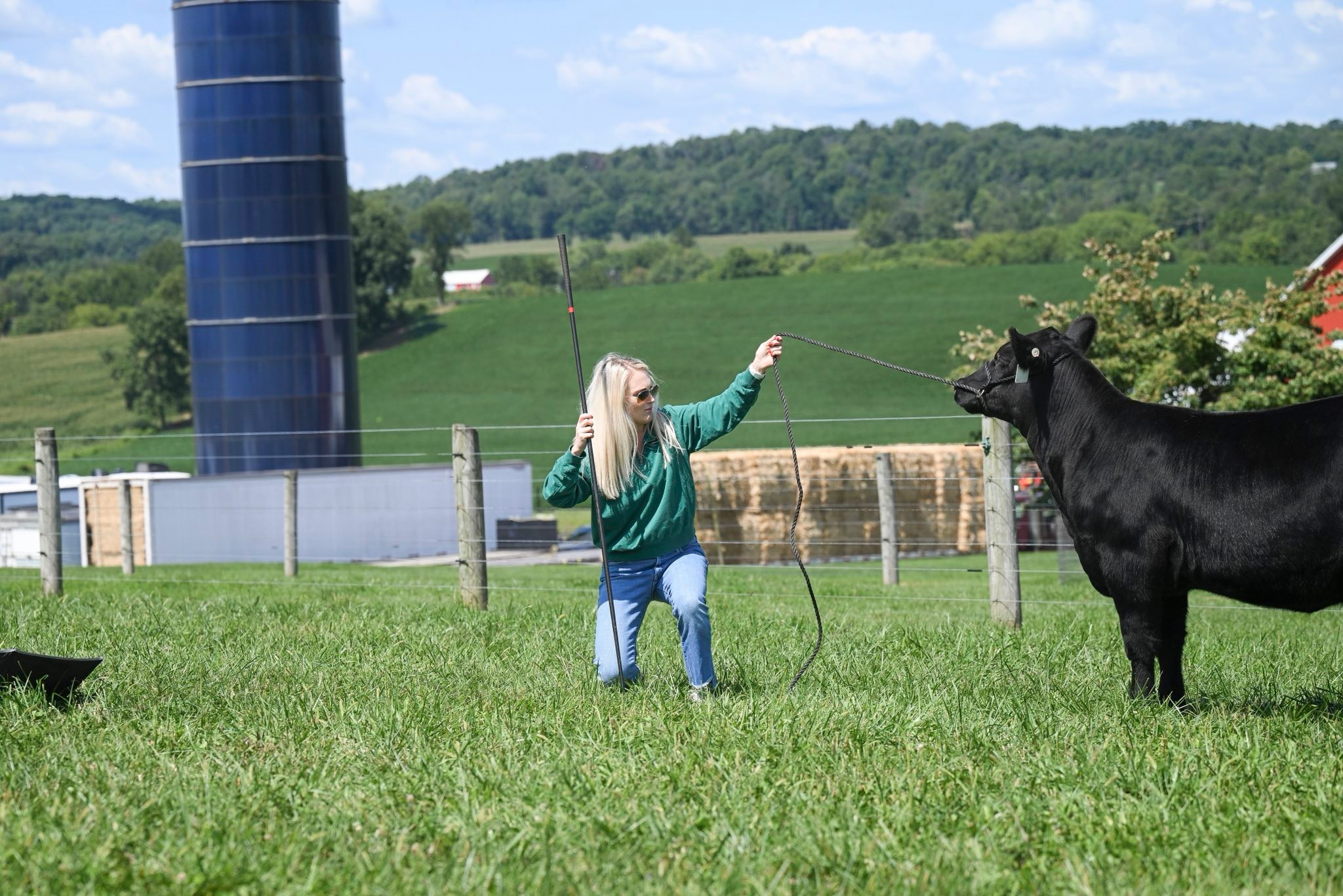 Lemmon Cattle Company