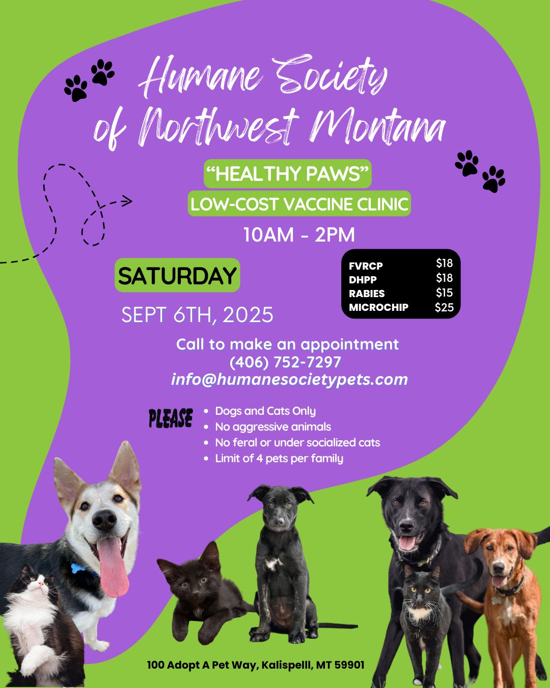 Healthy Paws is back... - Humane Society of Northwest Montana | Facebook