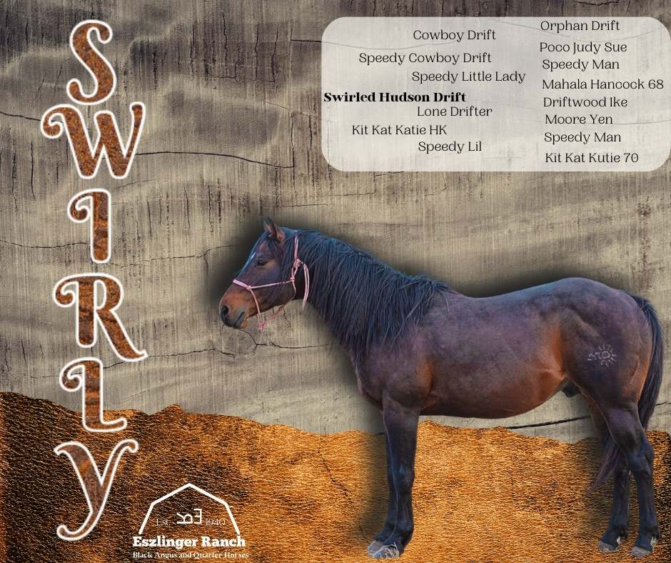 Eszlinger Ranch Black Angus and Quarter Horses