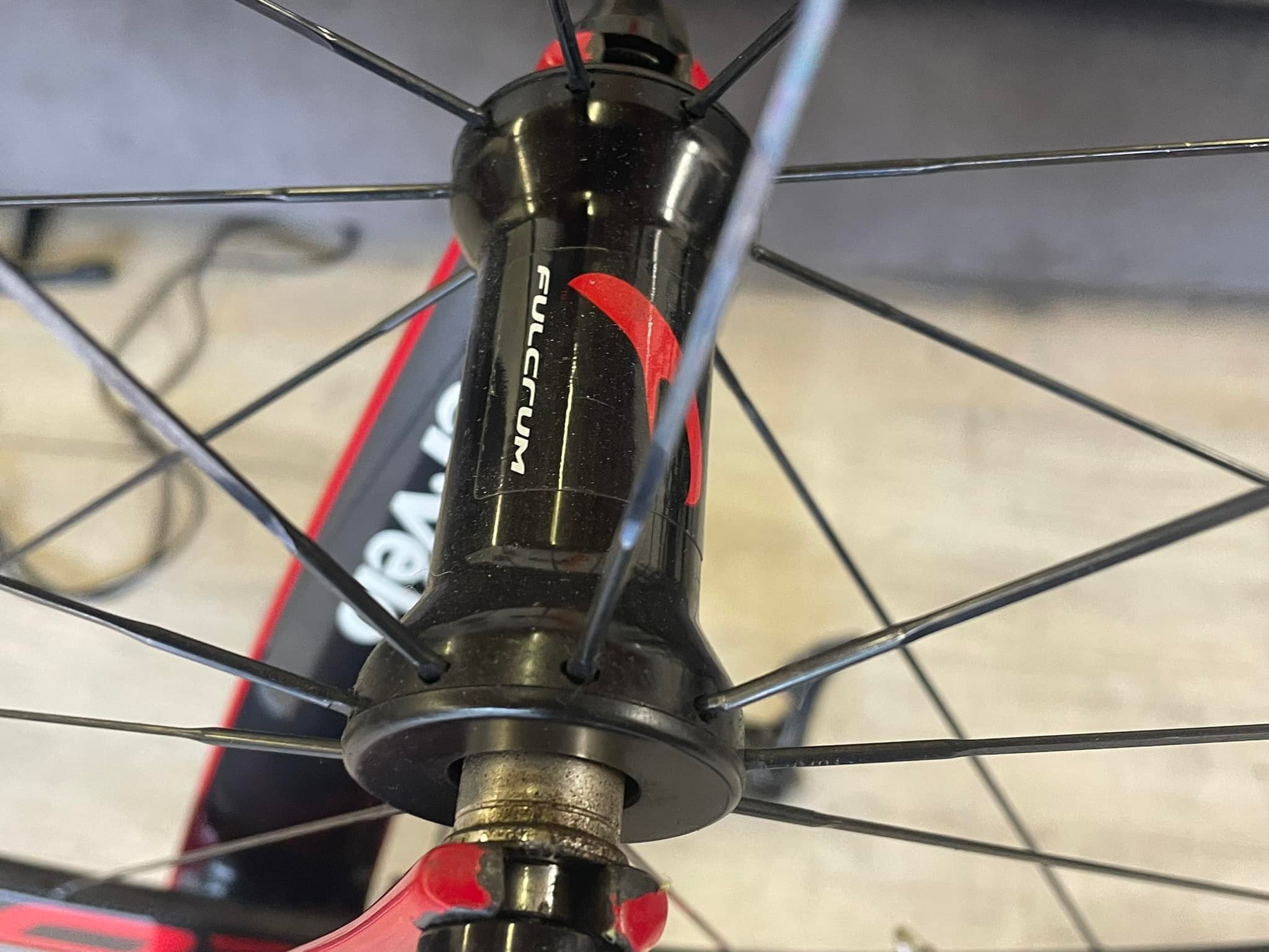 What are the differences between Fulcrum Red Wind 50 XLR and