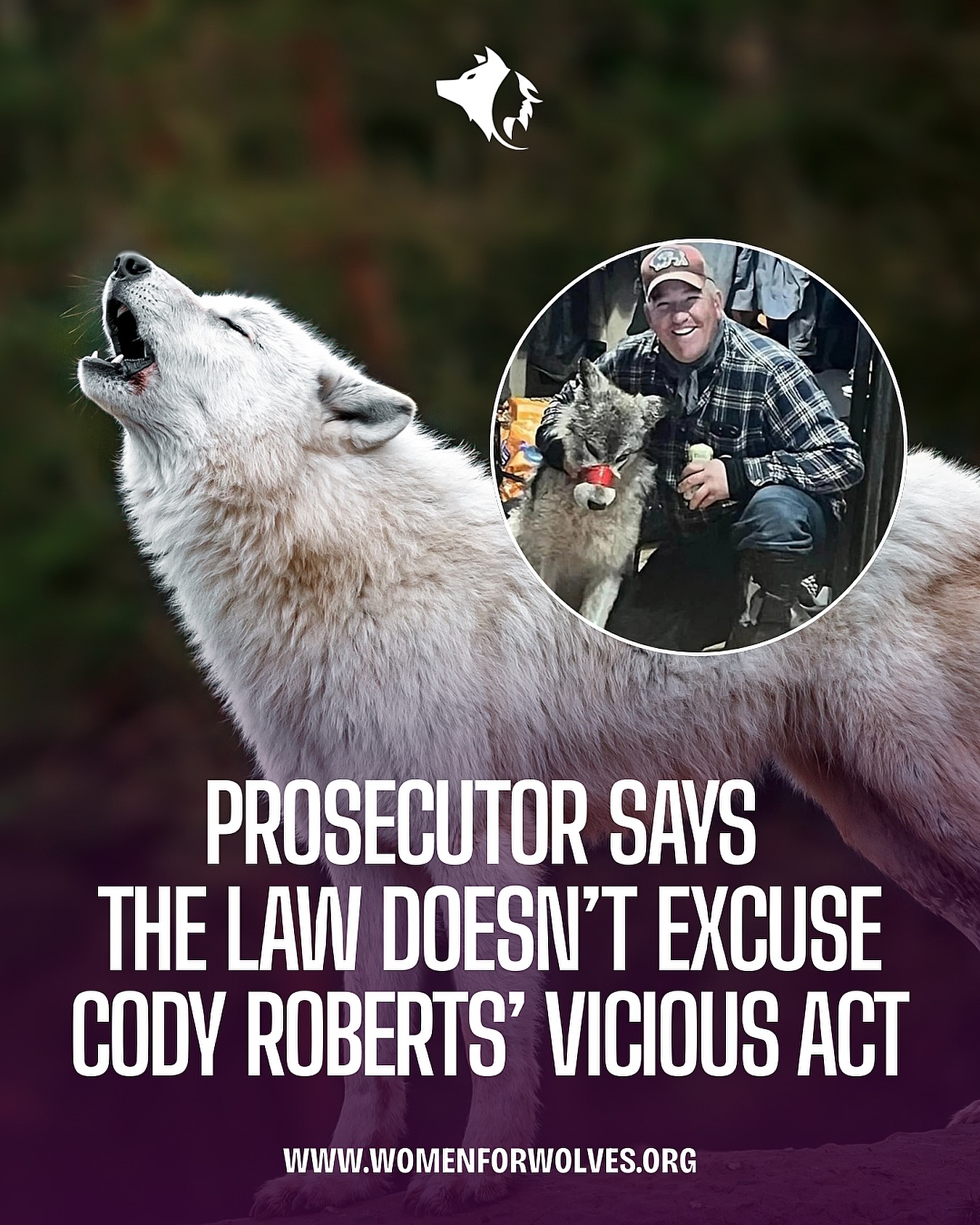 UPDATE: Wyoming prosecutor says the law... - Women for Wolves | Facebook