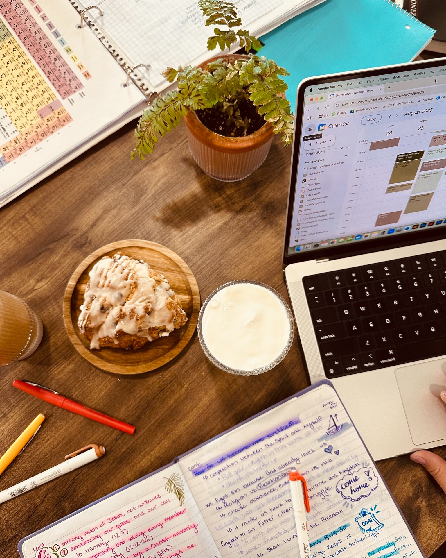 The Vibe - Make your next study session a little sweeter. 📚 With cozy ...