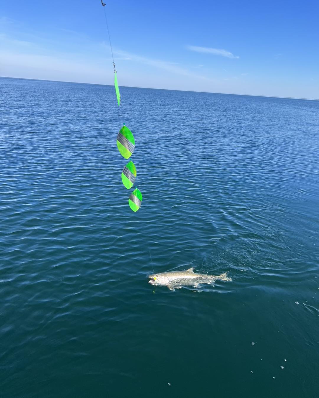 27 inch lake trolling rainbow cowbell fishing lures Luhr Jensen Baby Green Rainbow, Multi, One Size, Lure, Spoon Lure, Troll, 1 pc : Fishing Equipment : Sports & Outdoors Jensens most popular lake trolls and is known by anglers all around globe for its productivity Luhr-Jensen Cowbell Lake Troll —