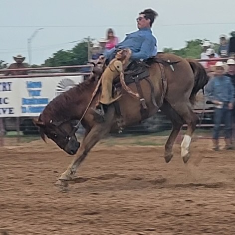 WRCA Working... - WRCA Working Ranch Cowboys Association