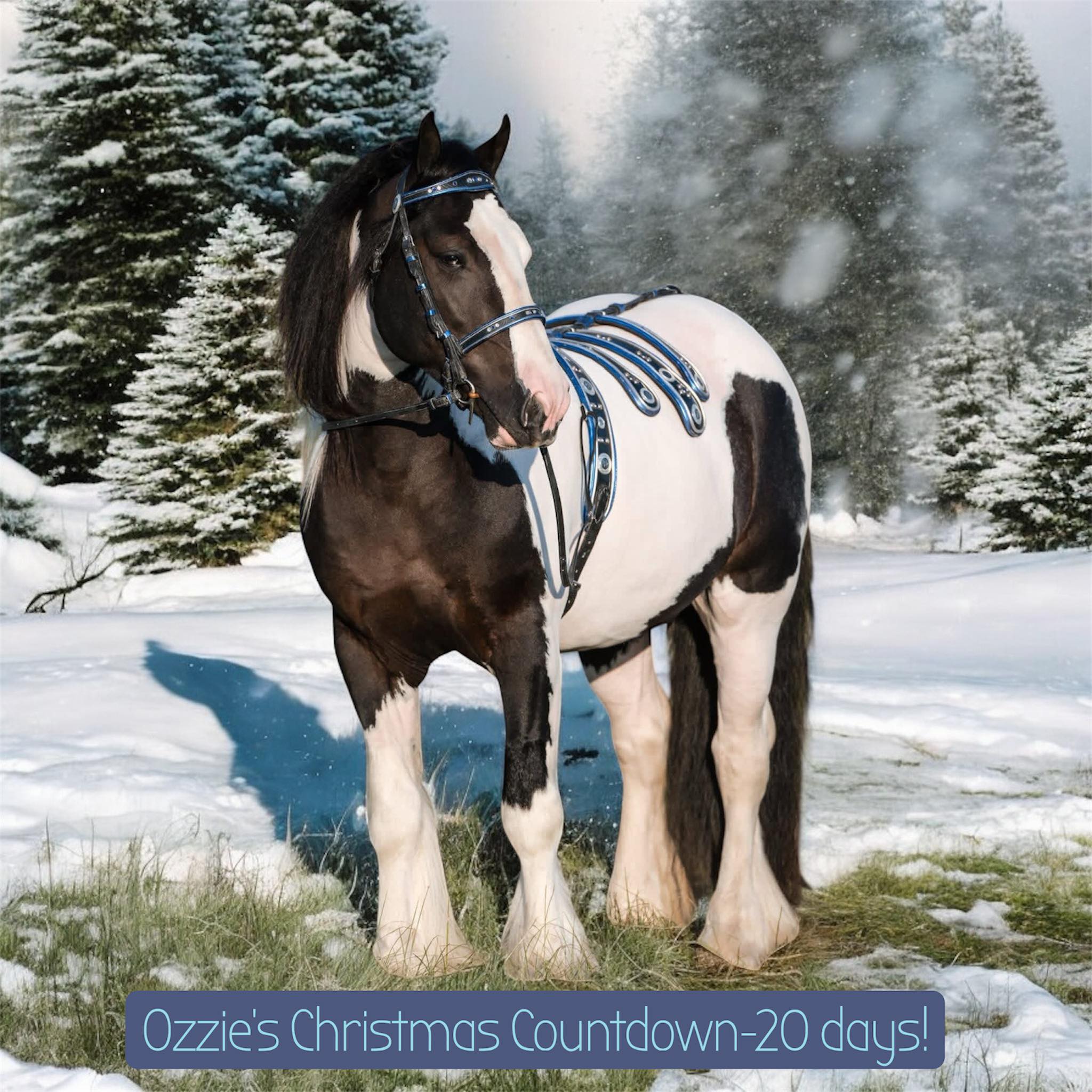 Gypsy - Mystic Forest Reflection of Oz aka Ozzie is also getting in the ...