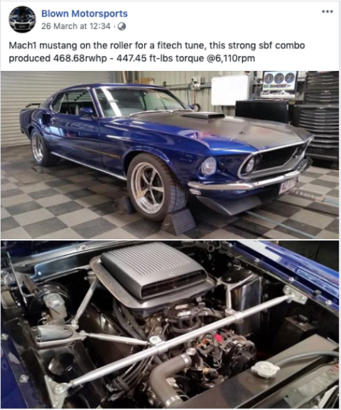 800 Hp Sbf